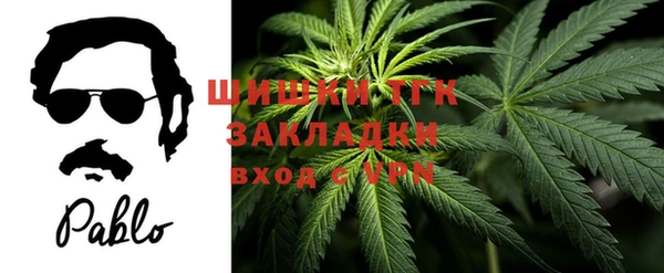 ALPHA PVP Покачи