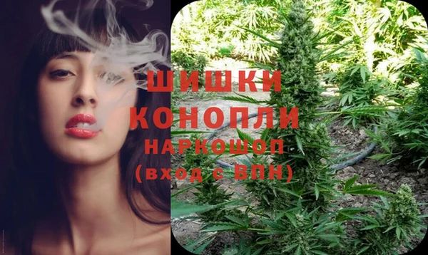 ECSTASY Покровск