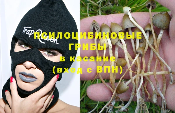 ALPHA PVP Покачи