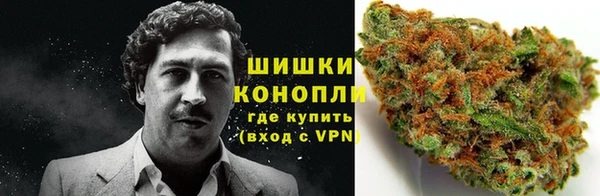 ALPHA PVP Покачи