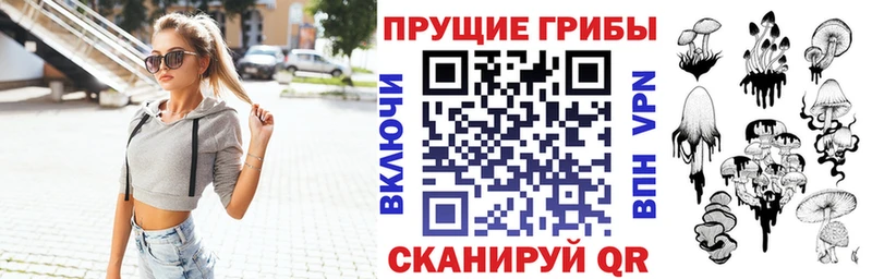 Псилоцибиновые грибы мицелий  Сланцы 