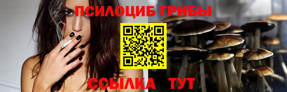 Галлюциногенные грибы Psilocybe Сланцы