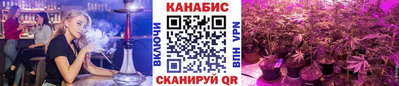 Канабис планчик  Сланцы 